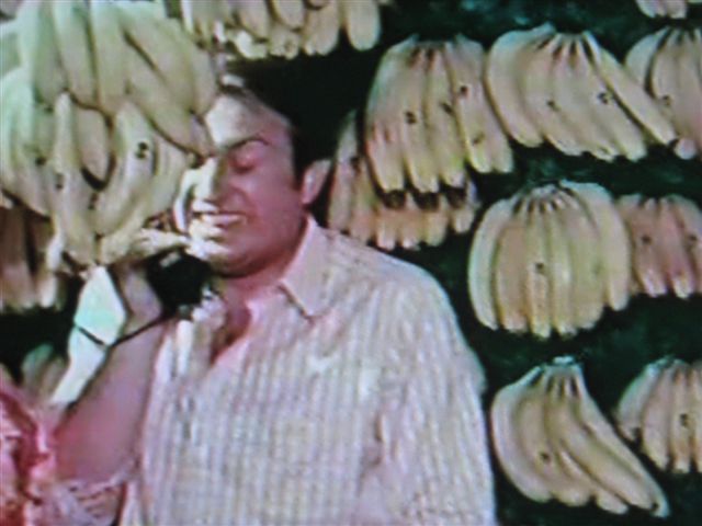 Barba e Dintorni